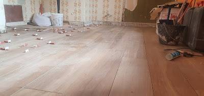 parrequet